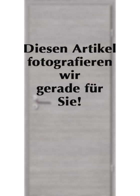 VIVA 04 Kernbuche Alu 2 Lisenen längs