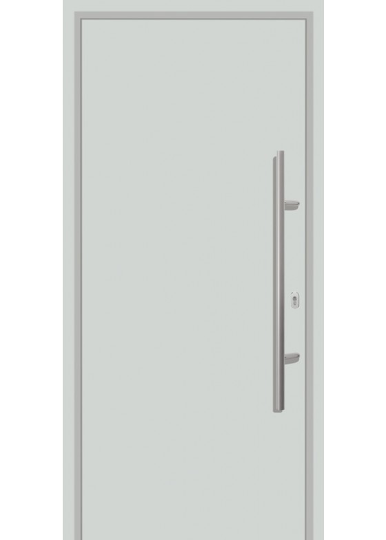 ThermoPro 010